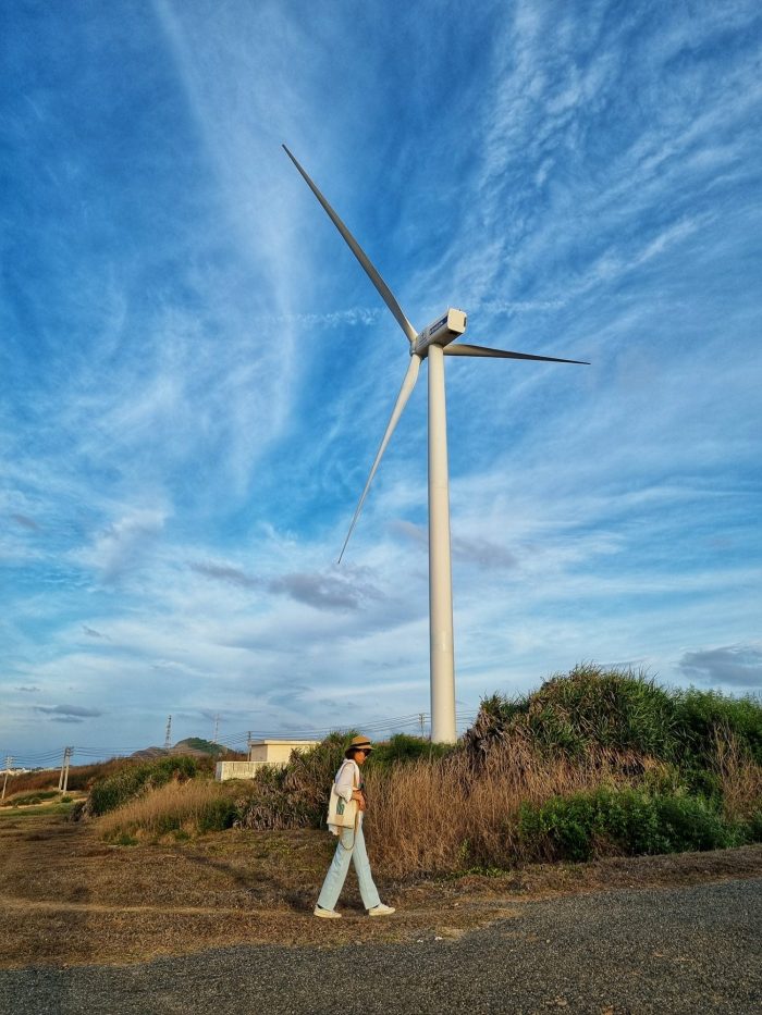 Phong điện đảo phú quý